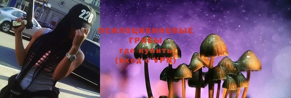 прущий лед Алексин