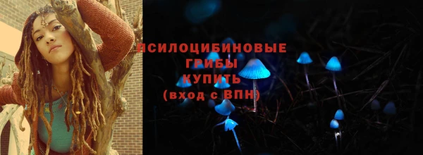 прущий лед Алексин
