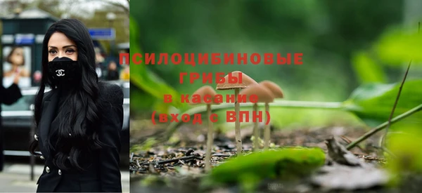 гидропоника Алзамай