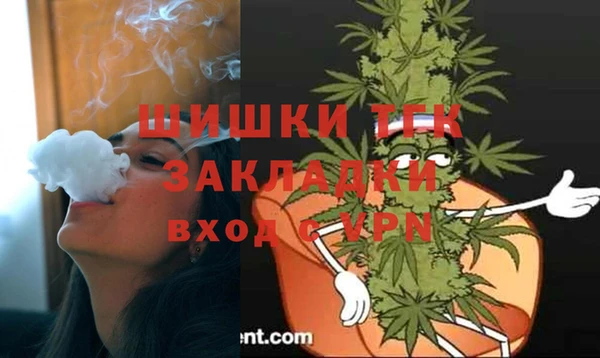 гидропоника Алзамай