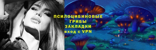 гидропоника Алзамай