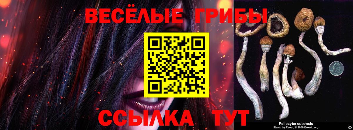 Псилоцибиновые грибы Psilocybe Миасс